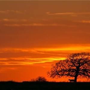 Meet your Posher, Rudy